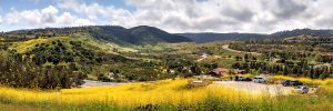 Aliso Viejo Commercial Real Estate