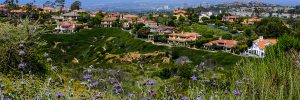 Laguna Hills Commercial Real Estate