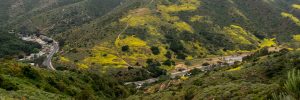 Laguna Woods Commercial Real Estate