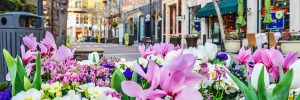 Las Flores Commercial Real Estate