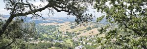 Rossmoor Commercial Real Estate