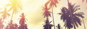 Sunset Beach Commercial Real Estate