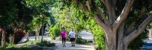 Tustin Commercial Real Estate